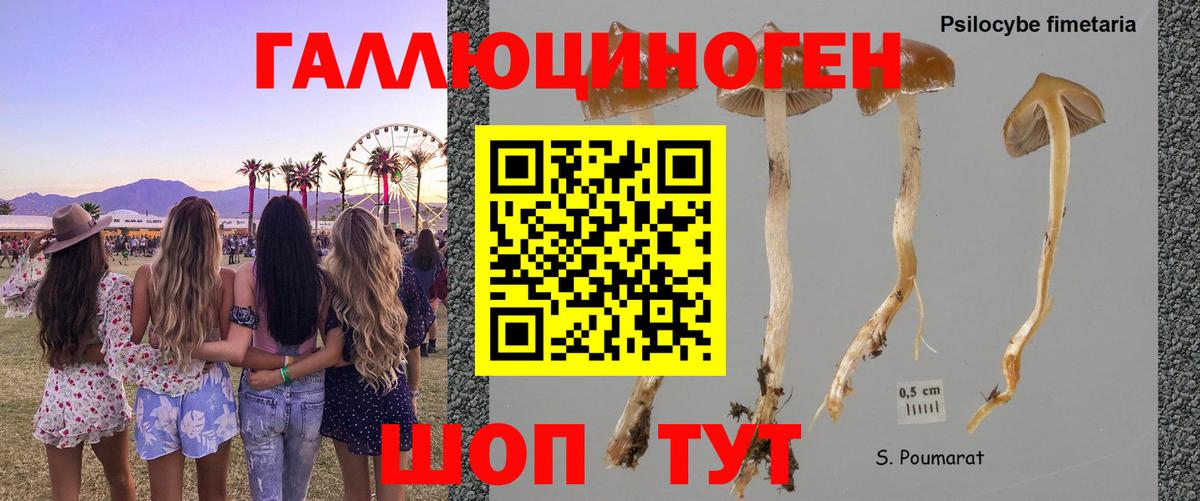 Надым  Псилоцибиновые грибы Magic Shrooms  Вход с VPN  Псилоцибиновые грибы GOLDEN TEACHER 