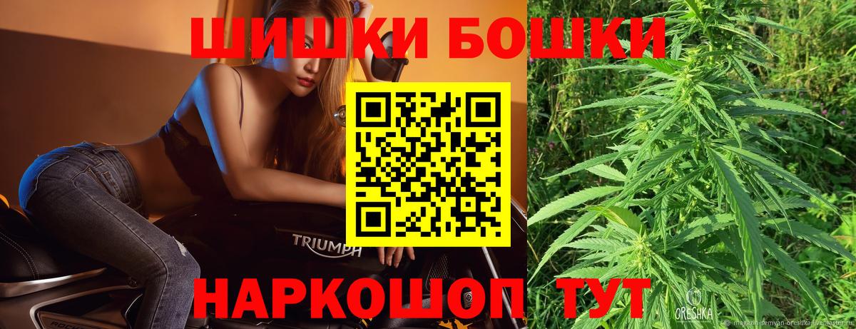 Бошки Шишки план Надым